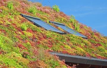 South Willesborough living roof systems
