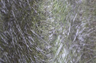 South Willesborough fibreglass roof work